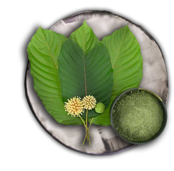 kratom-leaves